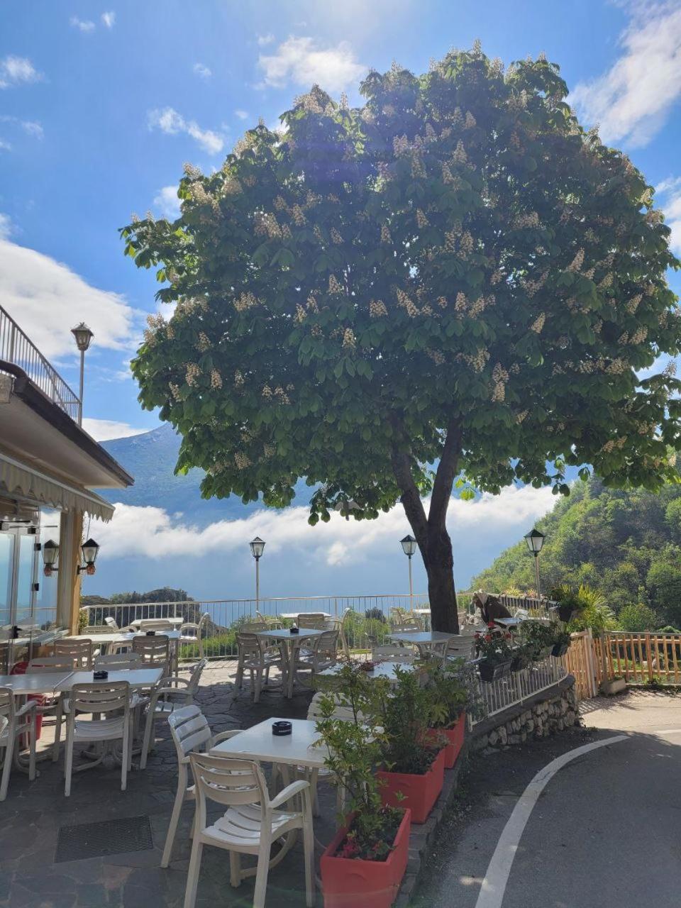 Hotel Panorama Riva del Garda Esterno foto